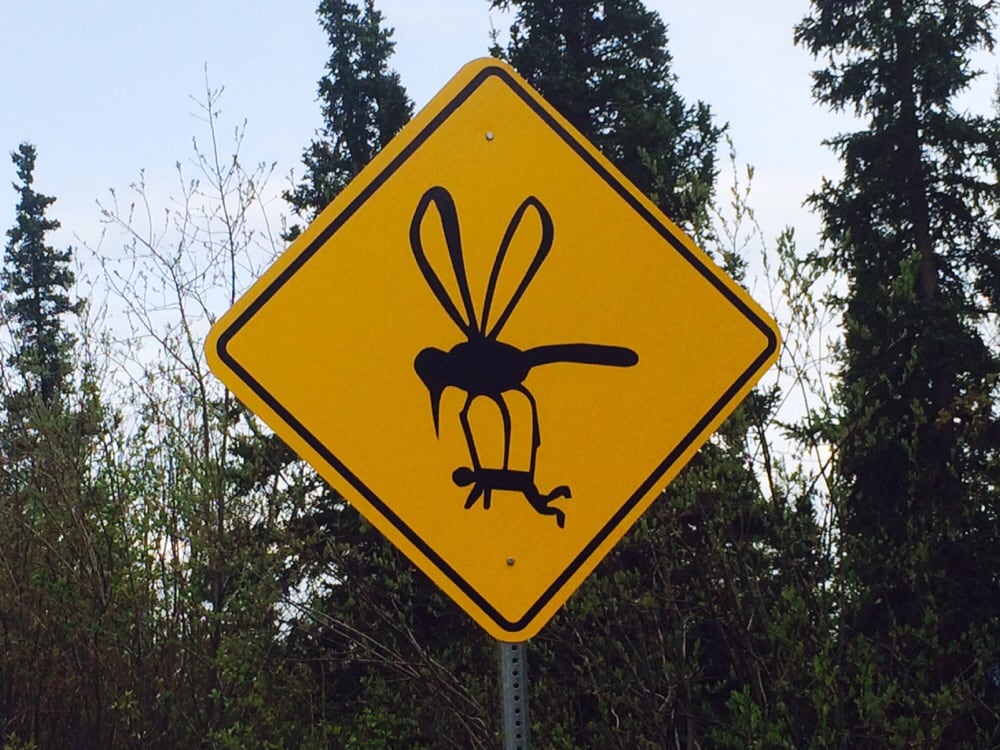 Осторожно, комары