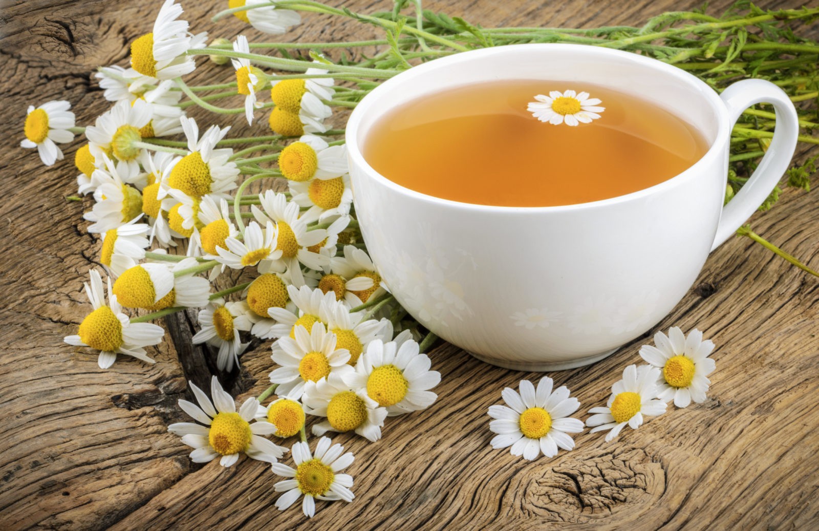 6 преимуществ ромашкового чая, которые улучшат здоровье