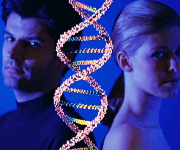 В чем разница между мужской и женской ДНК