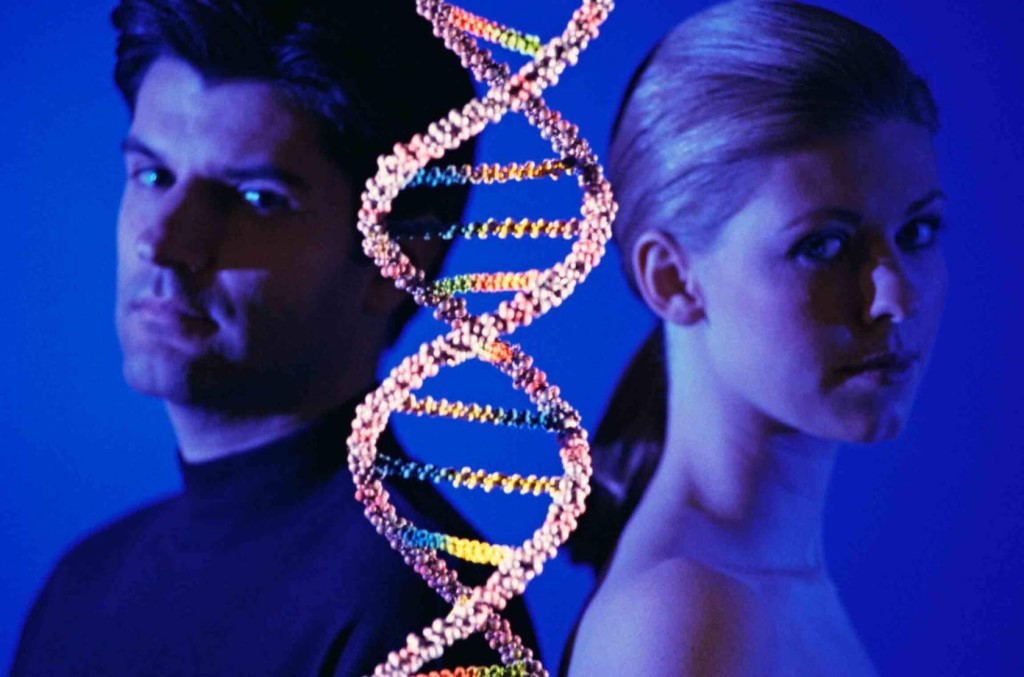 В чем разница между мужской и женской ДНК